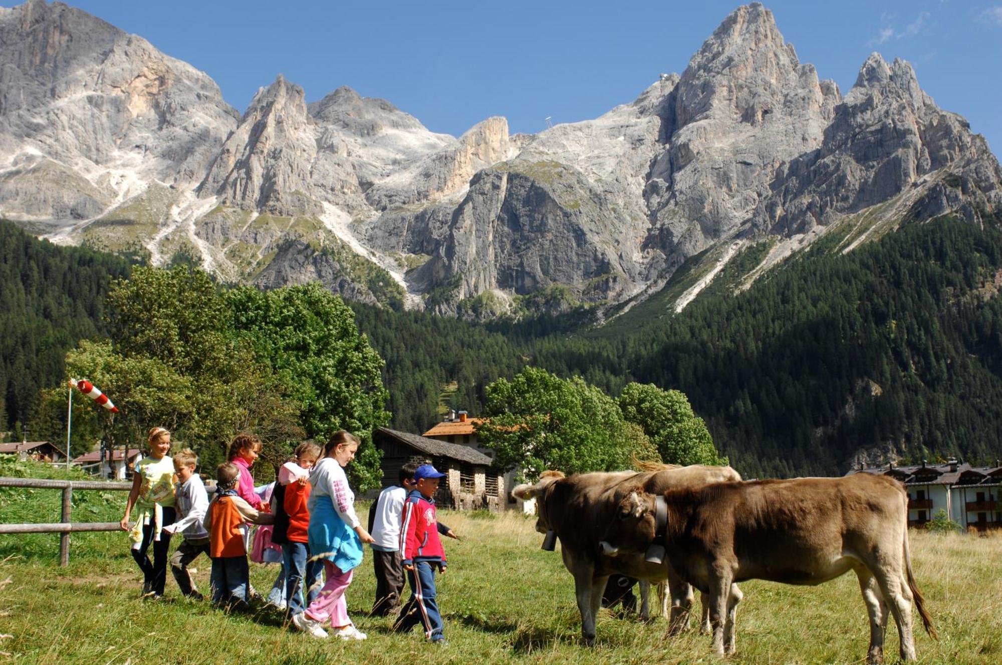 Sporting Aparthotel San Martino Di Castrozza Kültér fotó