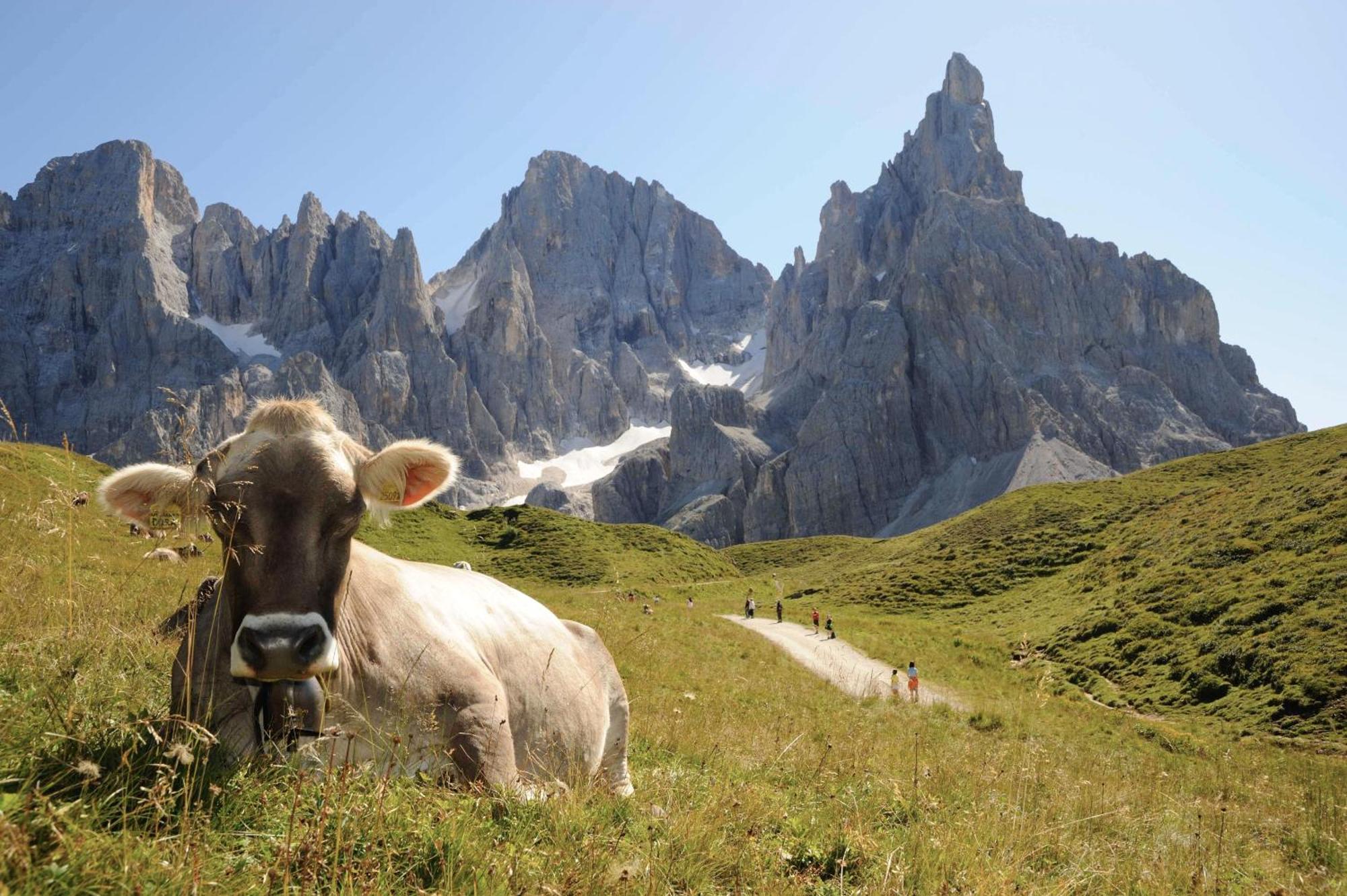 Sporting Aparthotel San Martino Di Castrozza Kültér fotó